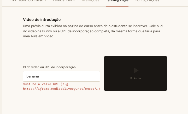 The Intro Video field showing its validation error in English